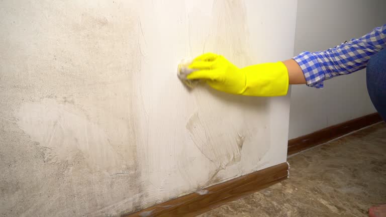 Best HVAC Mold Inspection and Cleaning  in Brent, FL