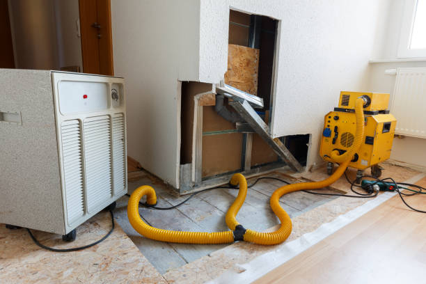 Best Mold Prevention Services  in Brent, FL